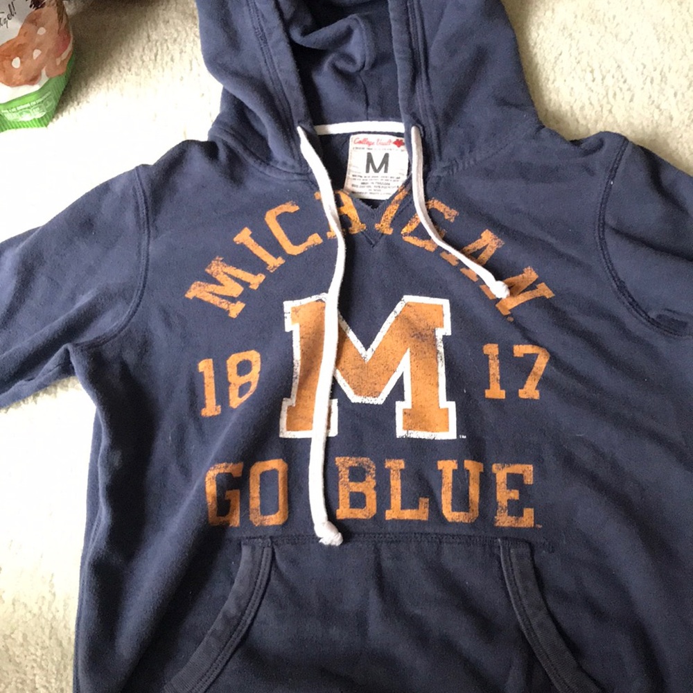 Michigan Hoodie by American Eagle x College Vault